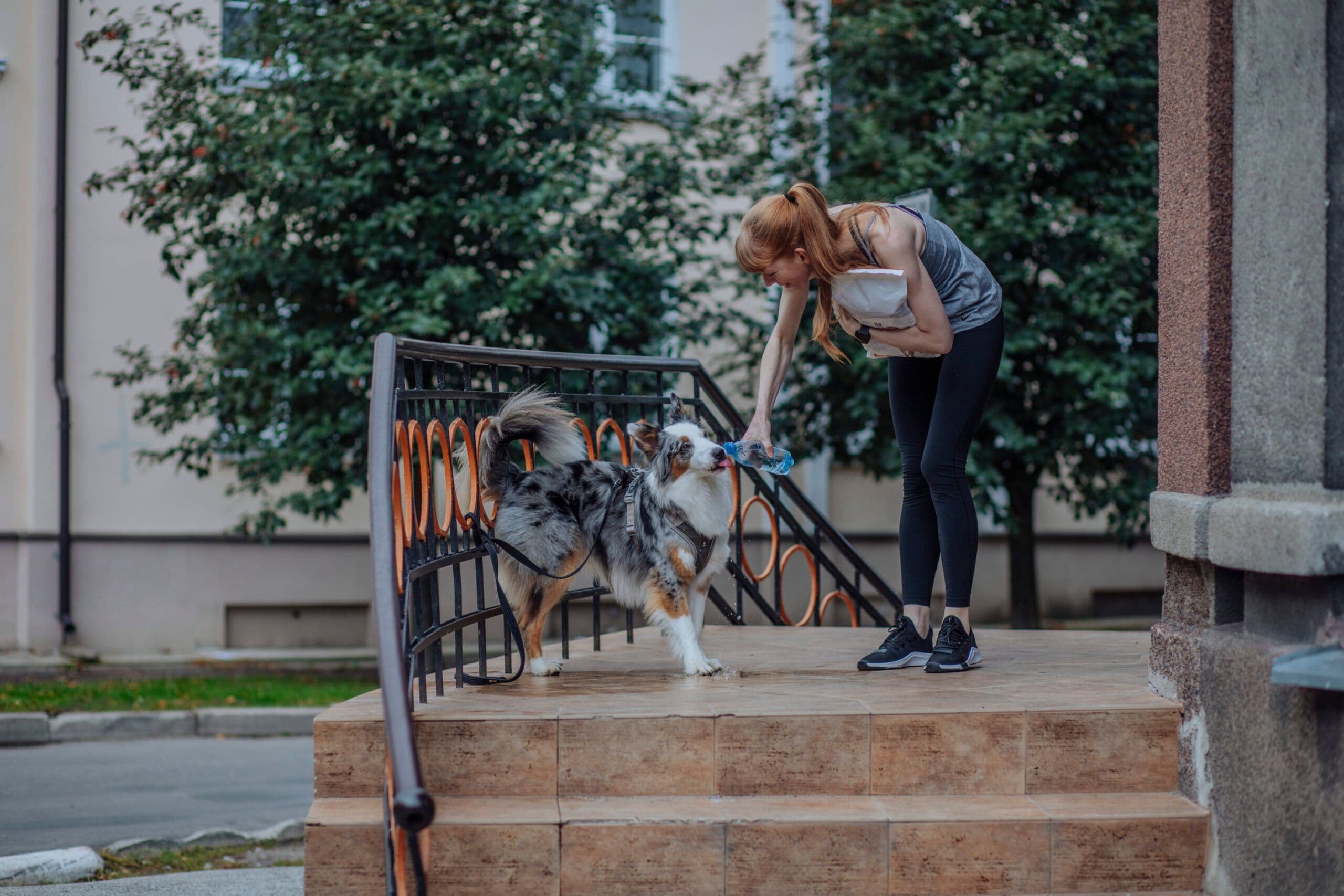 Naine annab koerale vett, seistes hoone ees trepil