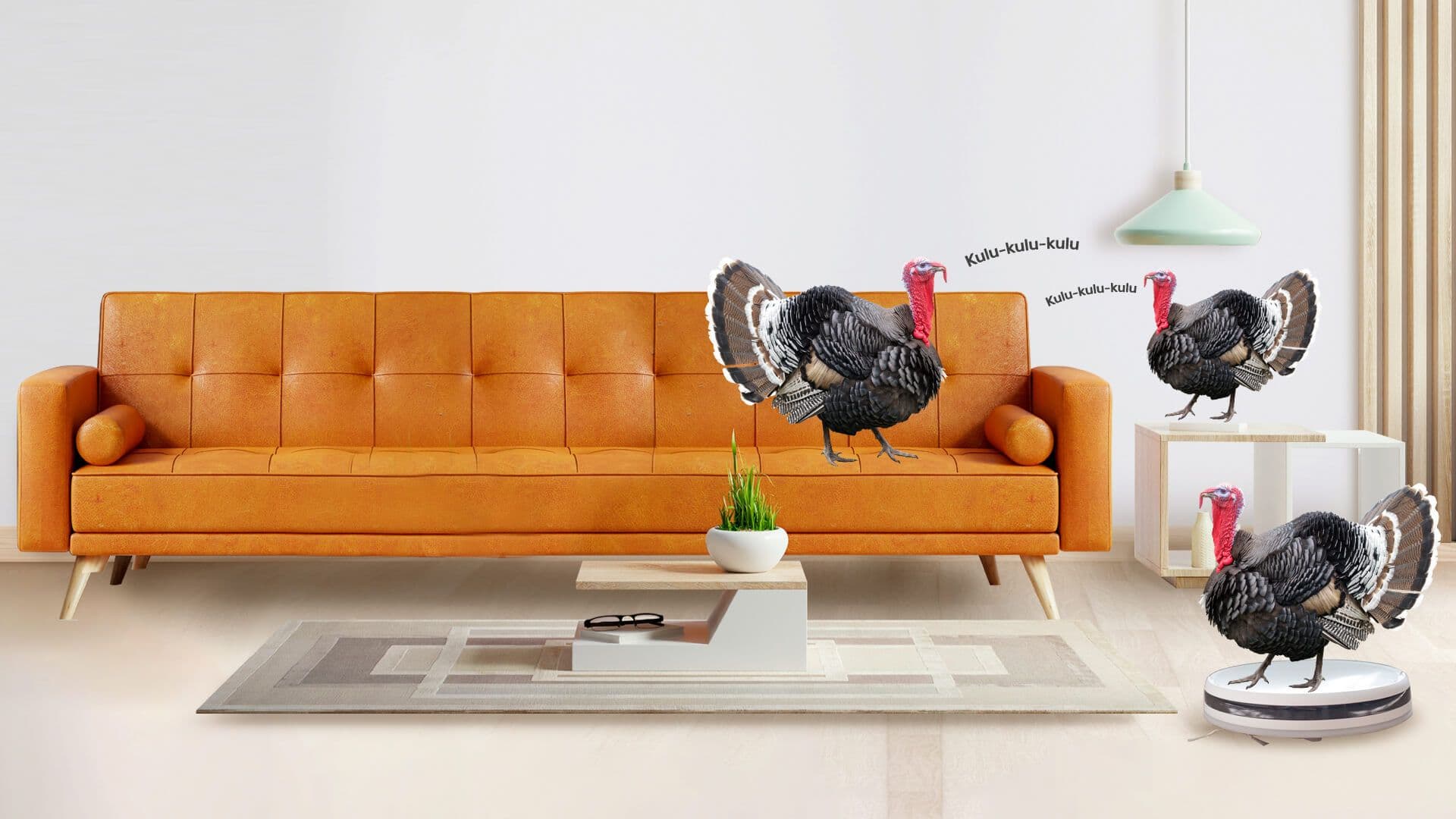Kolm kalkunit oranžis elutoas – üks diivanil, üks robottolmuimejal, üks teeb "Kulu-kulu-kulu"